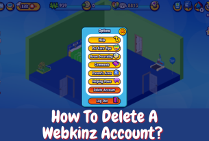 How To Delete A Webkinz Account