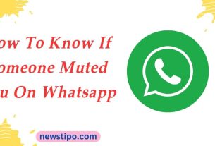 How To Know If Someone Muted You On Whatsapp